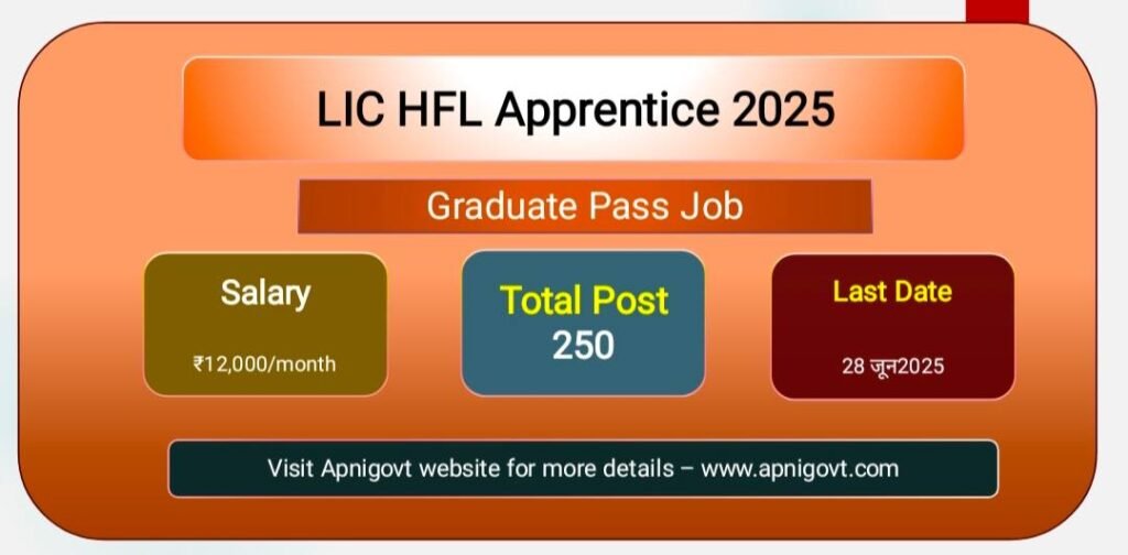 LIC HFL Apprentice 2025